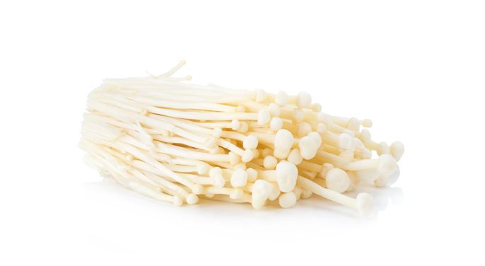 信邦如何高效的運輸食用菌